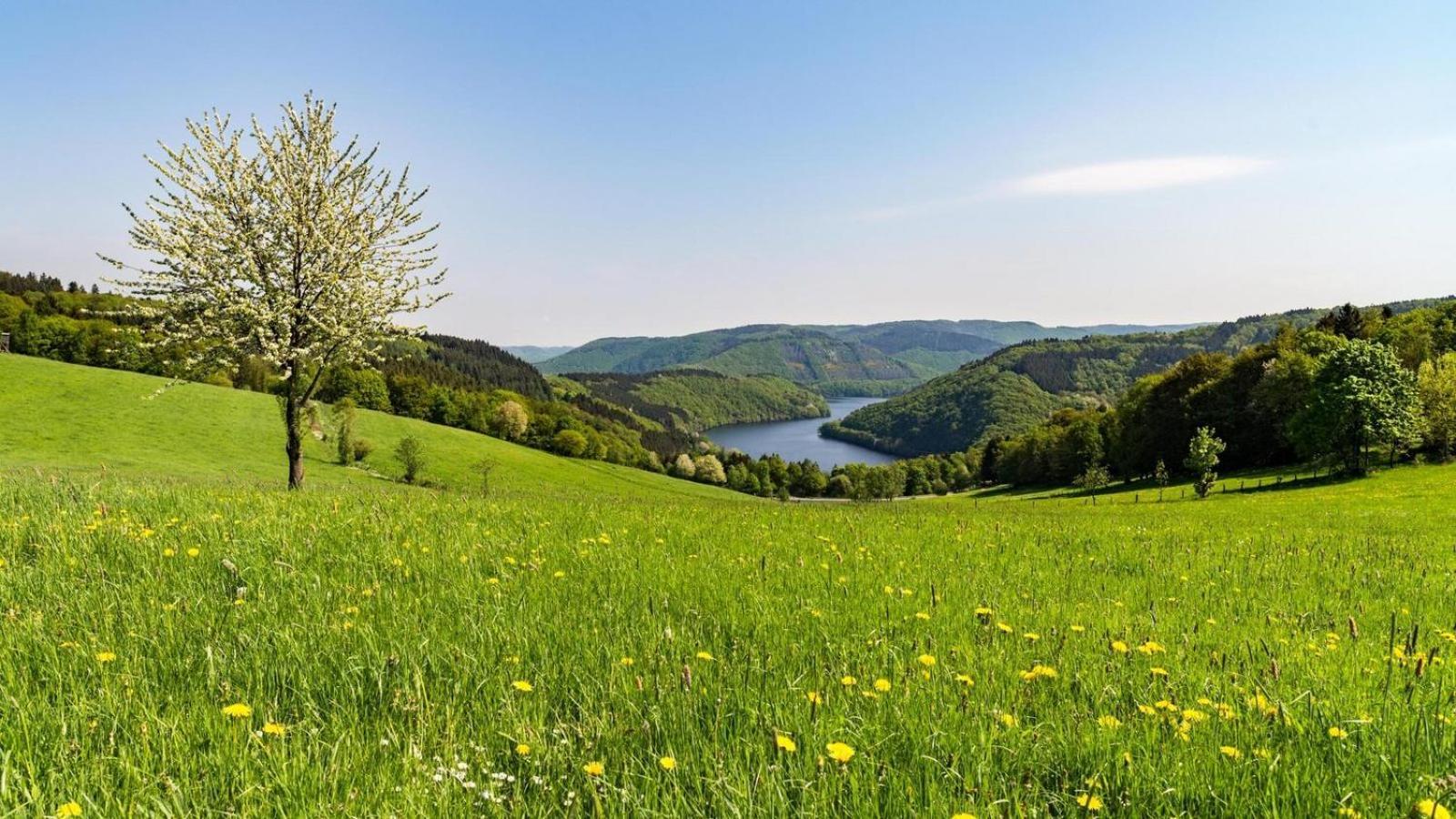 Garni Hotel Im Fachwerkhof Simmerath Zewnętrze zdjęcie